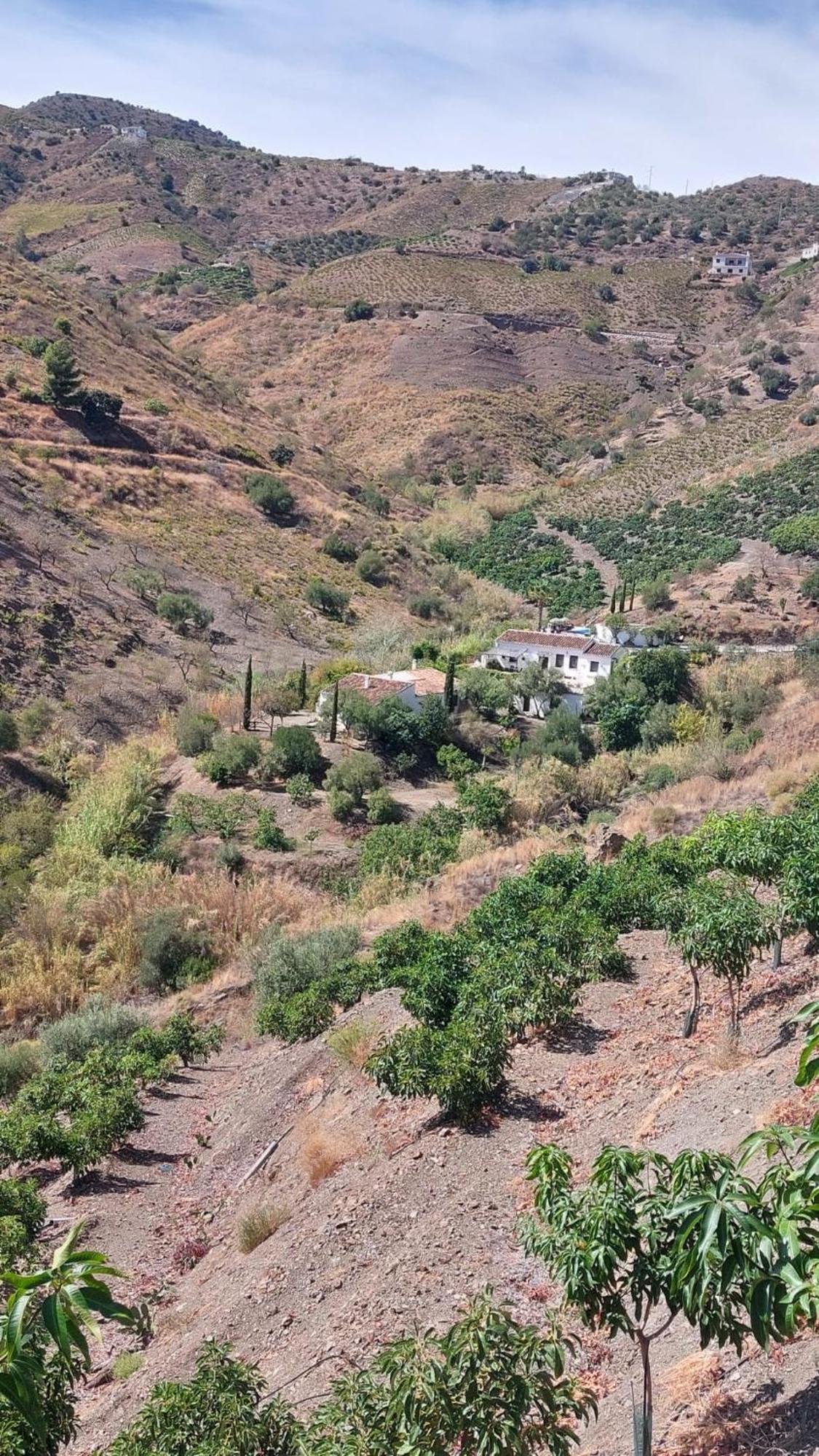 Cortijo Lagar De Luisa Guest House Borge Exterior foto