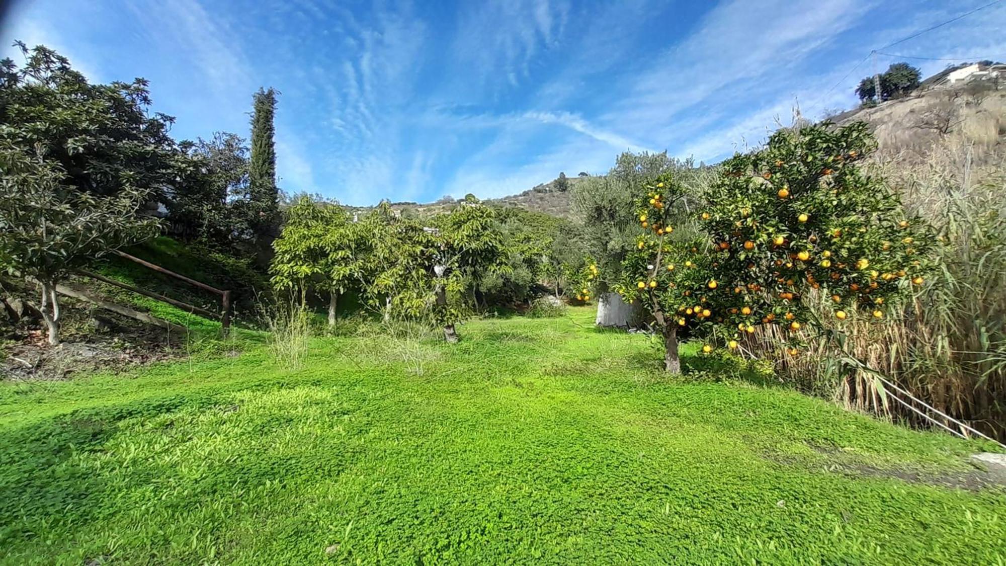 Cortijo Lagar De Luisa Guest House Borge Exterior foto
