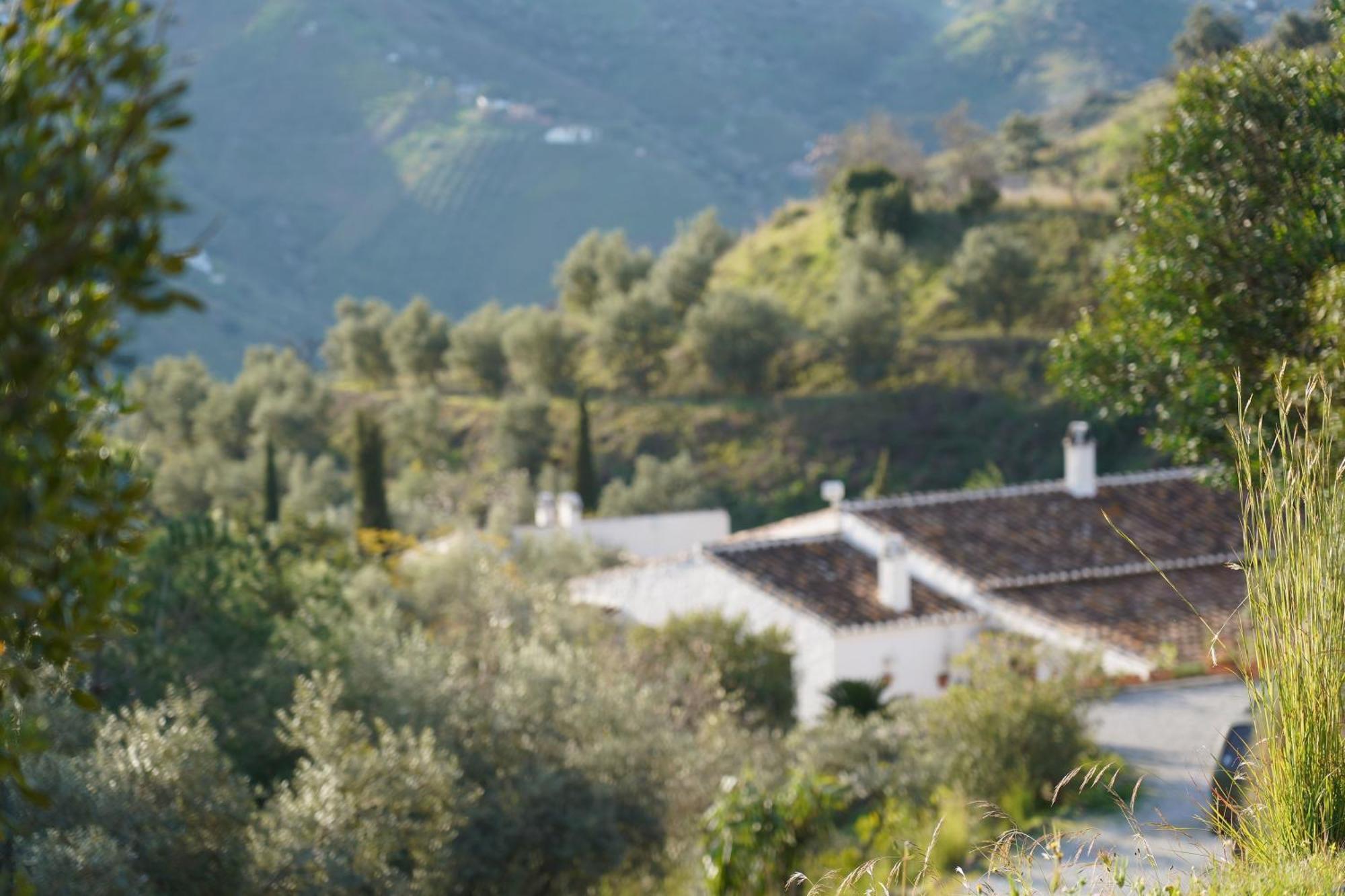 Cortijo Lagar De Luisa Guest House Borge Exterior foto