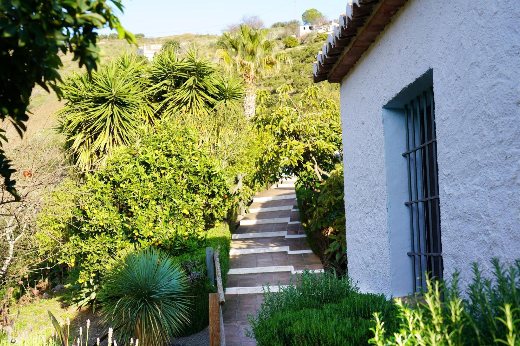 Cortijo Lagar De Luisa Guest House Borge Exterior foto