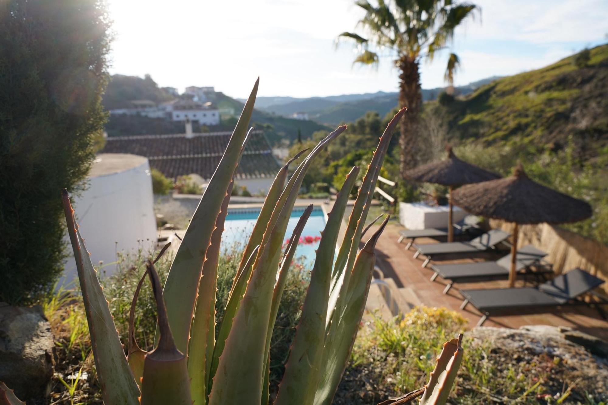 Cortijo Lagar De Luisa Guest House Borge Exterior foto
