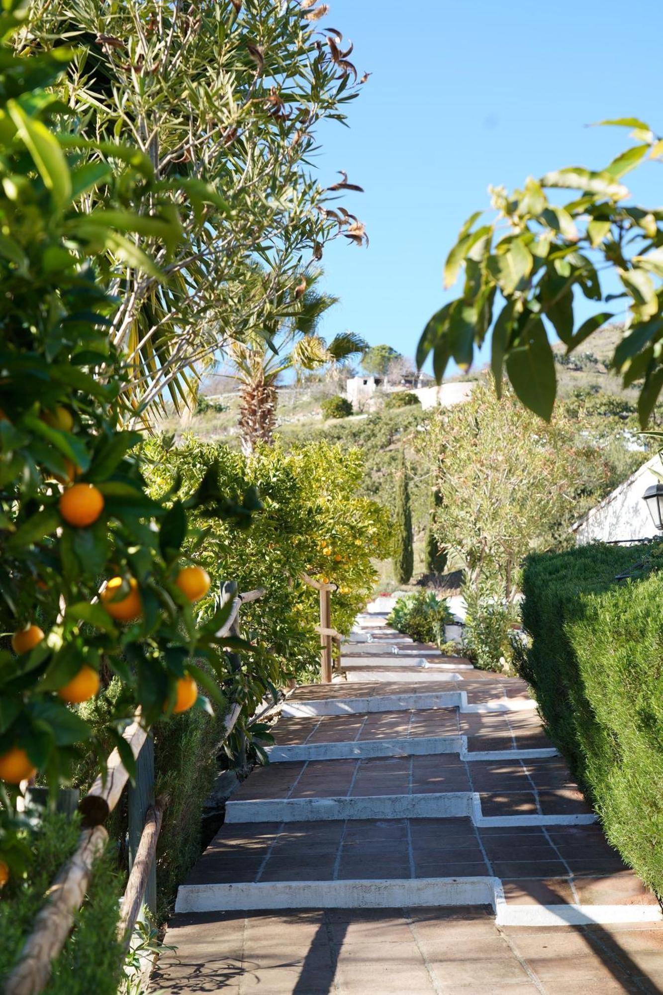 Cortijo Lagar De Luisa Guest House Borge Exterior foto